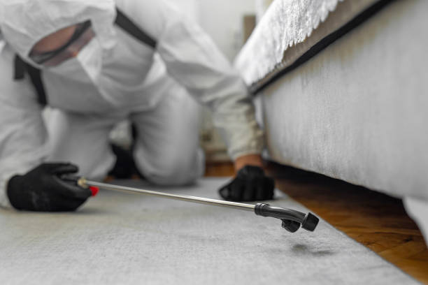 Professional Bed Bug Control technician working in Sheffield, OH